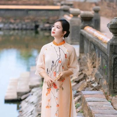 Áo dài cách tân thời kì hiện đại